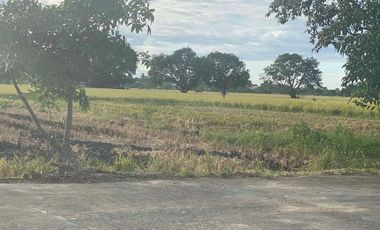 10.16 Hectares Prime Location Commercial Industrial Lot for Sale along Maharlika Highway, Brgy. Tarcan, Baliuag City, Bulacan