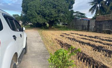 10.16 Hectares Prime Location Commercial Industrial Lot for Sale along Maharlika Highway, Brgy. Tarcan, Baliuag City, Bulacan
