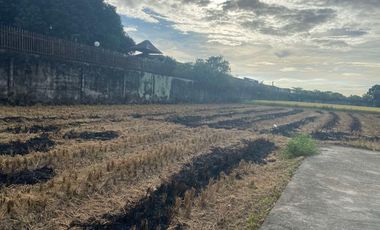 10.16 Hectares Prime Location Commercial Industrial Lot for Sale along Maharlika Highway, Brgy. Tarcan, Baliuag City, Bulacan