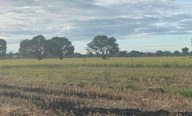 10.16 Hectares Prime Location Commercial Industrial Lot for Sale along Maharlika Highway, Brgy. Tarcan, Baliuag City, Bulacan