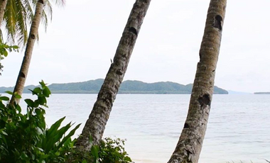 FOR SALE | Rare Beachfront Property at Siargao Island 4.7 Hectare