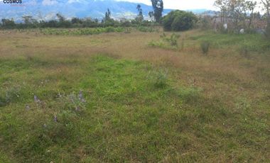 Casa con terreno de venta en Cotacachi sector Patalanga, 8624 m2