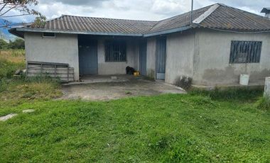 Casa con terreno de venta en Cotacachi sector Patalanga, 8624 m2