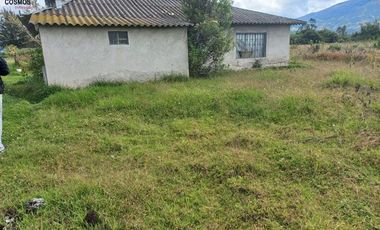Casa con terreno de venta en Cotacachi sector Patalanga, 8624 m2