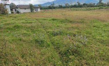 Casa con terreno de venta en Cotacachi sector Patalanga, 8624 m2