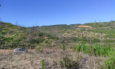 Hermosa parcela en oferta a minutos de playas de la VI región!!!