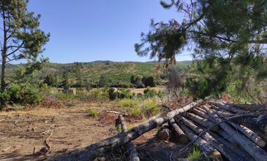 Hermosa parcela en oferta a minutos de playas de la VI región!!!