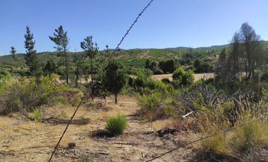 Hermosa parcela en oferta a minutos de playas de la VI región!!!