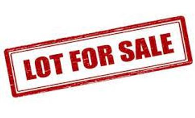 Vacant Lot For Sale 5,000sqm EDSA Balintawak