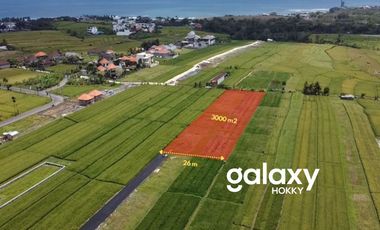 DIJUAL TANAH VIEW SAWAH DI PANTAI MENGENING CEMAGI MENGWI BADUNG, BALI