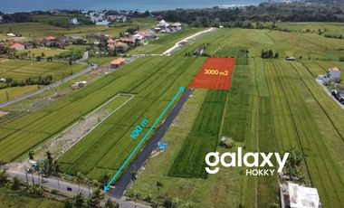 DIJUAL TANAH VIEW SAWAH DI PANTAI MENGENING CEMAGI MENGWI BADUNG, BALI