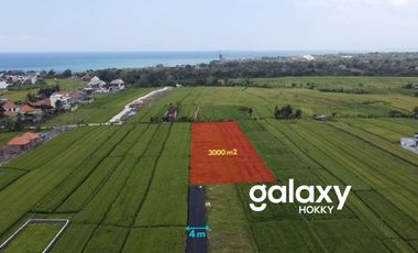 DIJUAL TANAH VIEW SAWAH DI PANTAI MENGENING CEMAGI MENGWI BADUNG, BALI