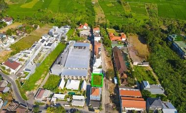 Freehold land sale in Tumbak Bayuh Pererenan Canggu area