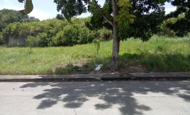 Overlooking 213 sqm Residential lot for sale in El Monte Verde Consolacion Cebu