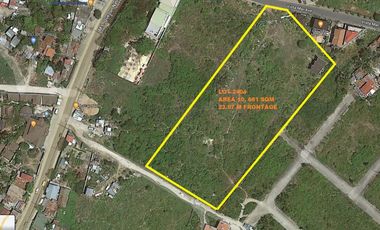 Lot For Sale Commercial Lot along Vistamar Avenue Mactan Lapu-Lapu City.