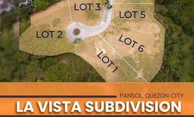 La Vista Subdivision Lot For Sale | Quezon City Lot For Sale | Near Ateneo, UP, UPTC, Marikina