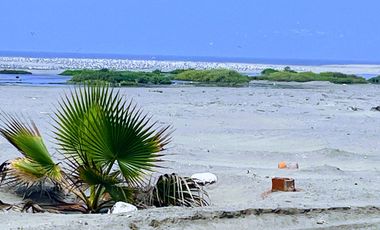 Oportunidad De Inversión Primera Fila - Terrenos Desde 120 M2 En Playa Chilca