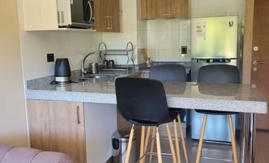 Arriendo año corrido departamento en exclusivo condominio Villarrica