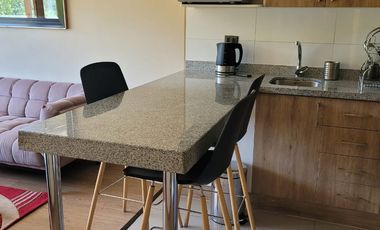 Arriendo año corrido departamento en exclusivo condominio Villarrica