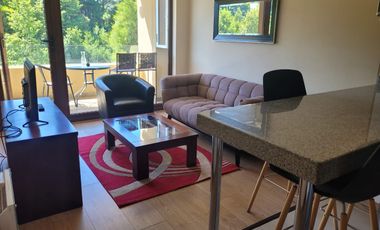 Arriendo año corrido departamento en exclusivo condominio Villarrica