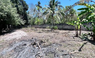 Terreno en Carretera a Puerto Dos Bocas, Paraíso CP. 86600, Tabasco