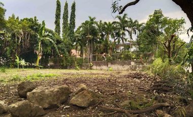 FOR SALE - Residential Vacant Lot in Ayala Alabang Village, Muntinlupa City