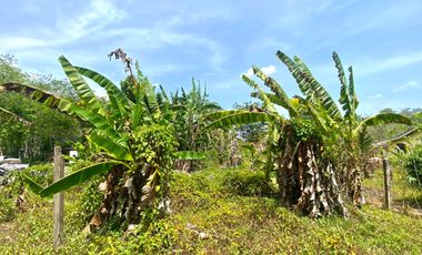 1.5 Rai of flat land is for sale in Mai Khao, Thalang, and Phuket.