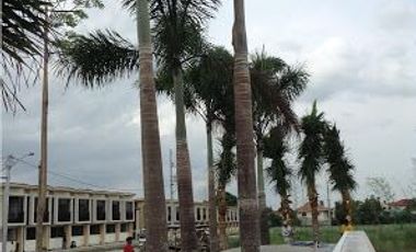 The Brand New 3-Bedroom Townhomes in Victoria Park along Alabang Zapote Road