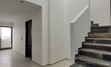 Master Suite B Torre Coliseo Villa Magna