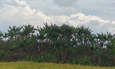 Venta Lote frente Hotel Hilton desarrollo Comercial Locales Pereira Risaralda