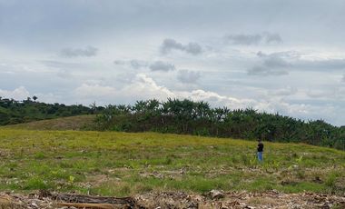 Venta Lote frente Hotel Hilton desarrollo Comercial Locales Pereira Risaralda