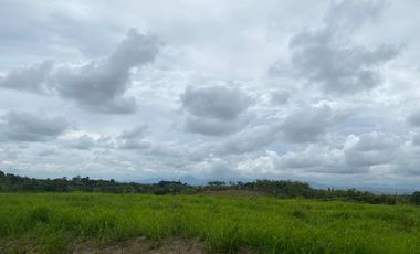 Venta Lote frente Hotel Hilton desarrollo Comercial Locales Pereira Risaralda