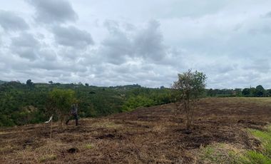 Venta Lote frente Hotel Hilton desarrollo Comercial Locales Pereira Risaralda