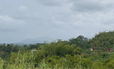 Venta Lote frente Hotel Hilton desarrollo Comercial Locales Pereira Risaralda