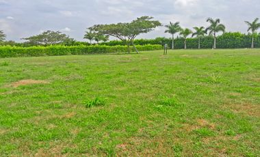 VENTA DE LOTE EN LA TORRE-ROZO, PALMIRA, VALLE DEL CAUCA