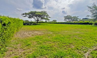 VENTA DE LOTE EN LA TORRE-ROZO, PALMIRA, VALLE DEL CAUCA