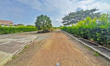 VENTA DE LOTE EN LA TORRE-ROZO, PALMIRA, VALLE DEL CAUCA