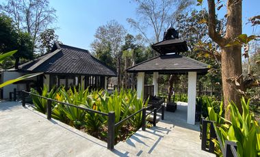A unique house for rent in Mae Tha, Lamphun