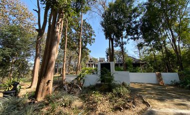 A unique house for rent in Mae Tha, Lamphun