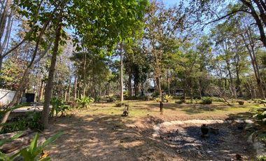 A unique house for rent in Mae Tha, Lamphun