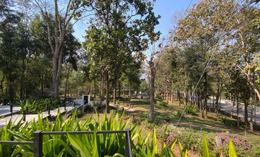 A unique house for rent in Mae Tha, Lamphun