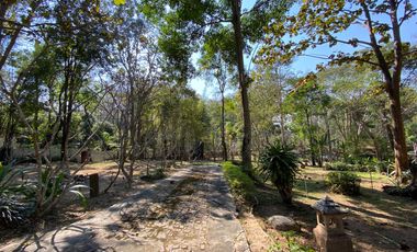 A unique house for rent in Mae Tha, Lamphun