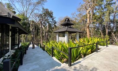 A unique house for rent in Mae Tha, Lamphun