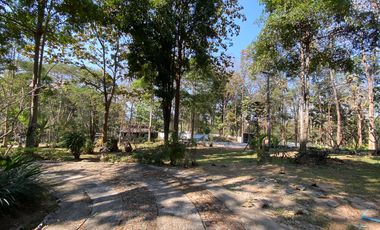 A unique house for rent in Mae Tha, Lamphun
