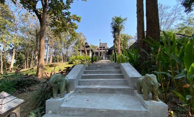 A unique house for rent in Mae Tha, Lamphun