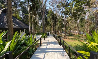 A unique house for rent in Mae Tha, Lamphun