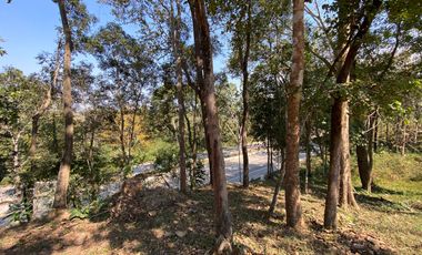 A unique house for rent in Mae Tha, Lamphun
