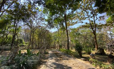 A unique house for rent in Mae Tha, Lamphun