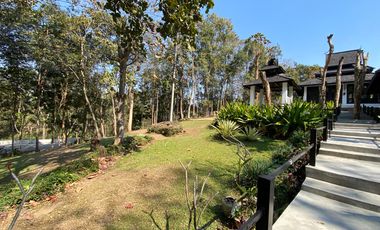 A unique house for rent in Mae Tha, Lamphun