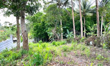 Titled 1560sqm Lot for Sale, Cristanto, Amadeo. P15k/sqm